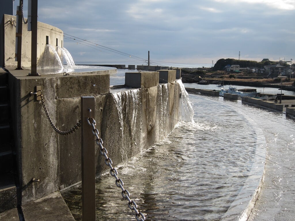道の駅 鴨川オーシャンパークの写真4