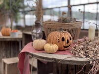 大多喜ハーブガーデン