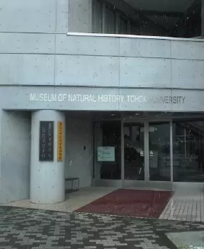 東北大学総合学術博物館の写真1