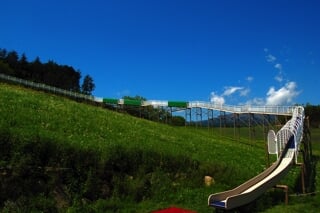 神奈川県立 おだわら諏訪の原公園の写真3