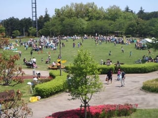 神奈川県立 おだわら諏訪の原公園の写真4