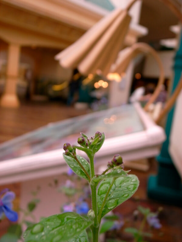 イクスピアリの写真2