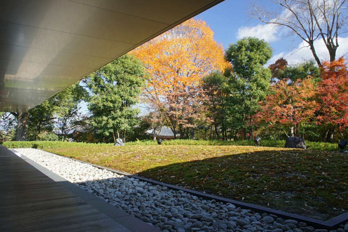 平等院ミュージアム鳳翔館の写真2