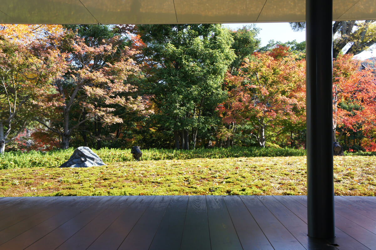 平等院ミュージアム鳳翔館の写真3