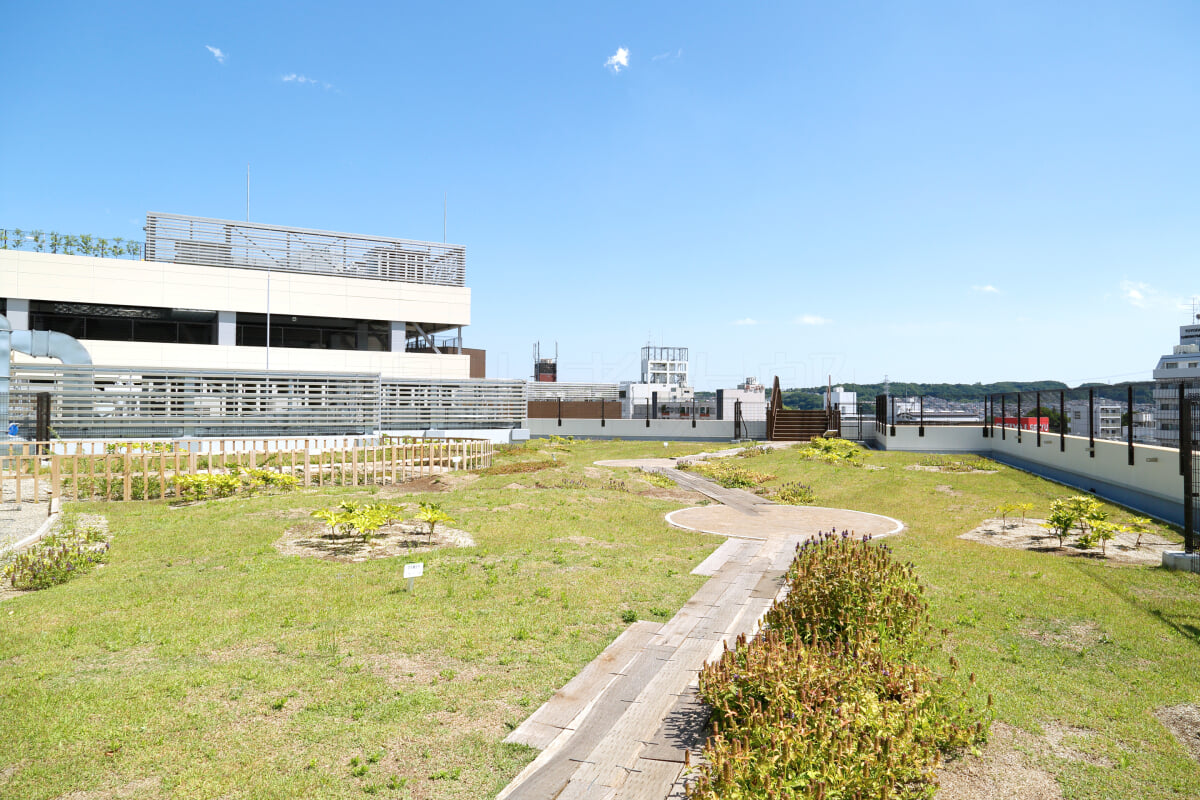 イオンモール多摩平の森の写真4