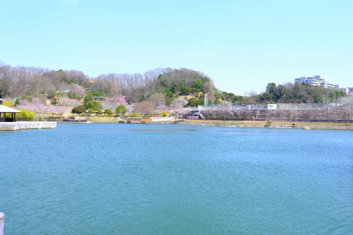 丸山総合公園の写真2