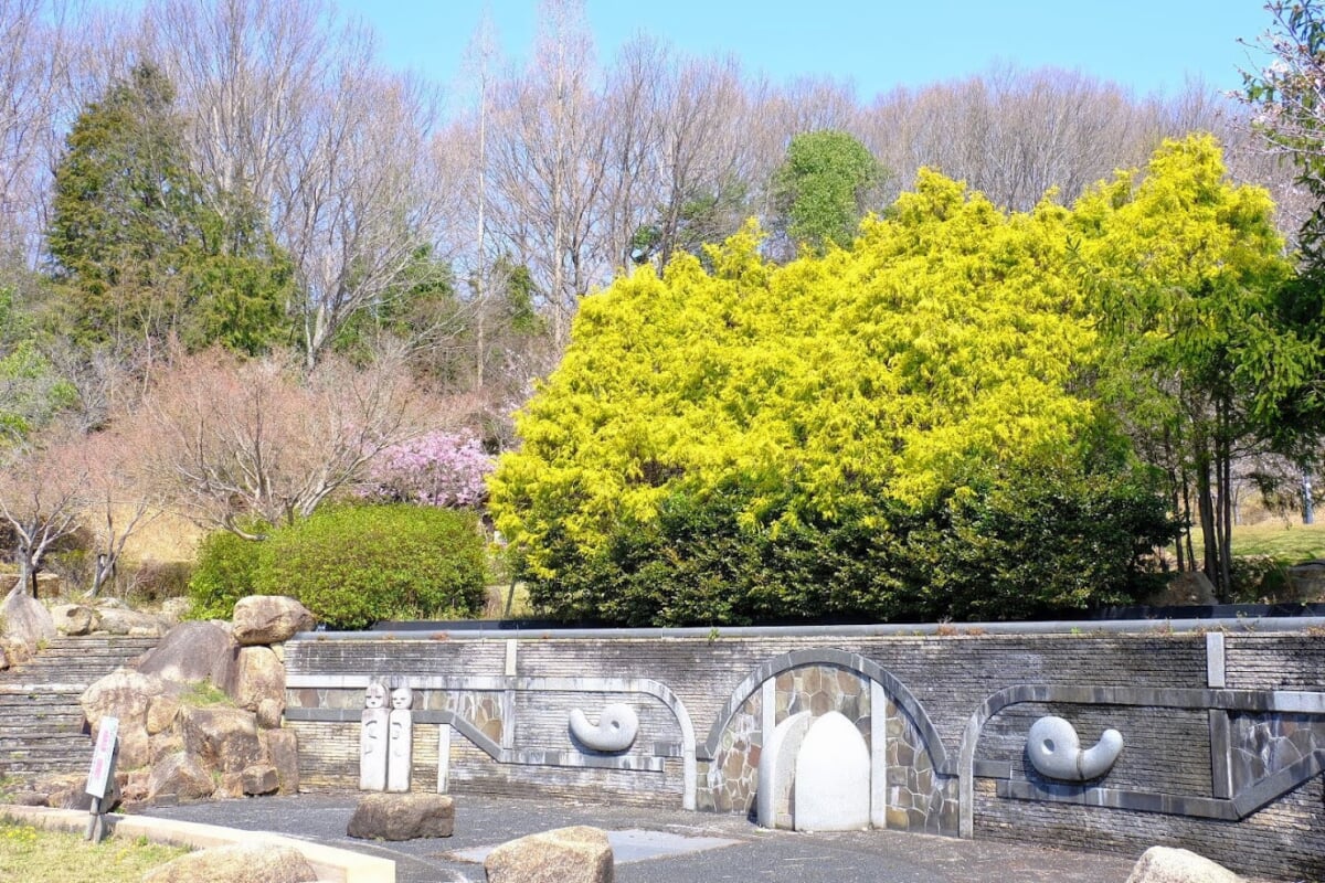 丸山総合公園の写真3