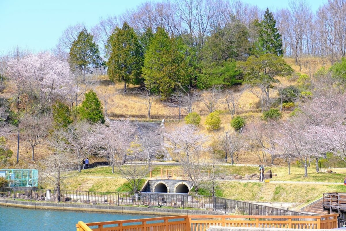 丸山総合公園の写真9