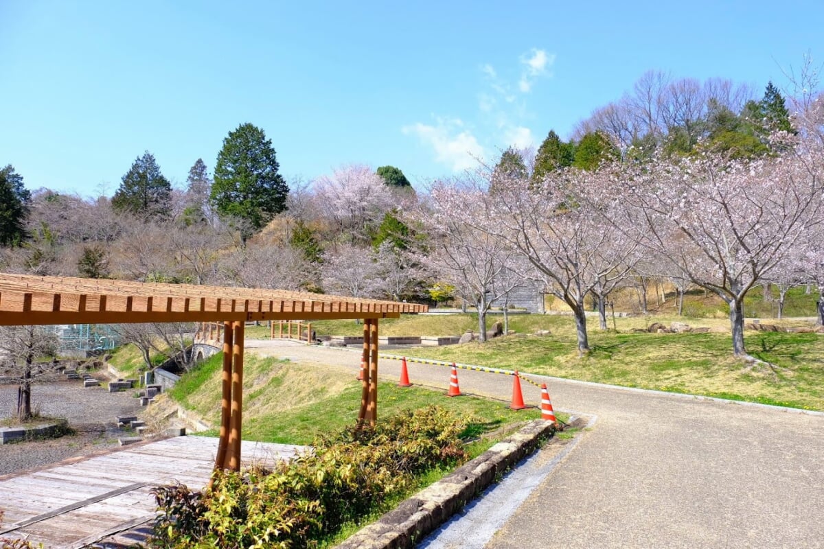 丸山総合公園の写真11