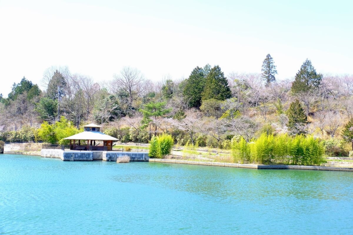 丸山総合公園の写真15