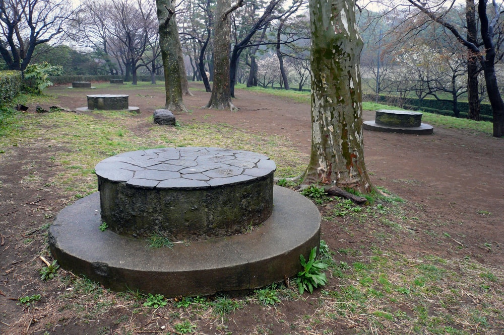 北の丸公園の写真2