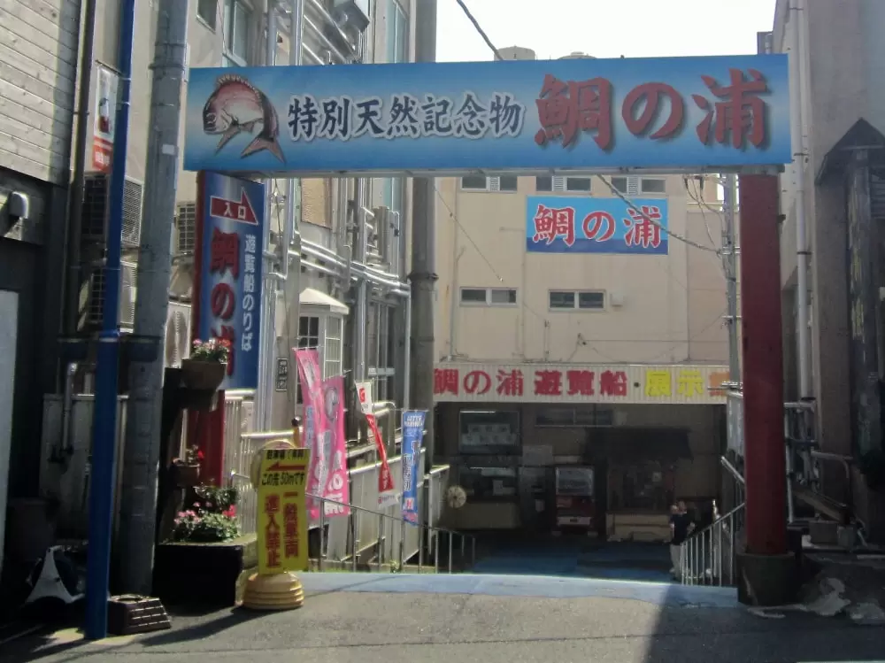 鯛の浦遊覧船の写真1