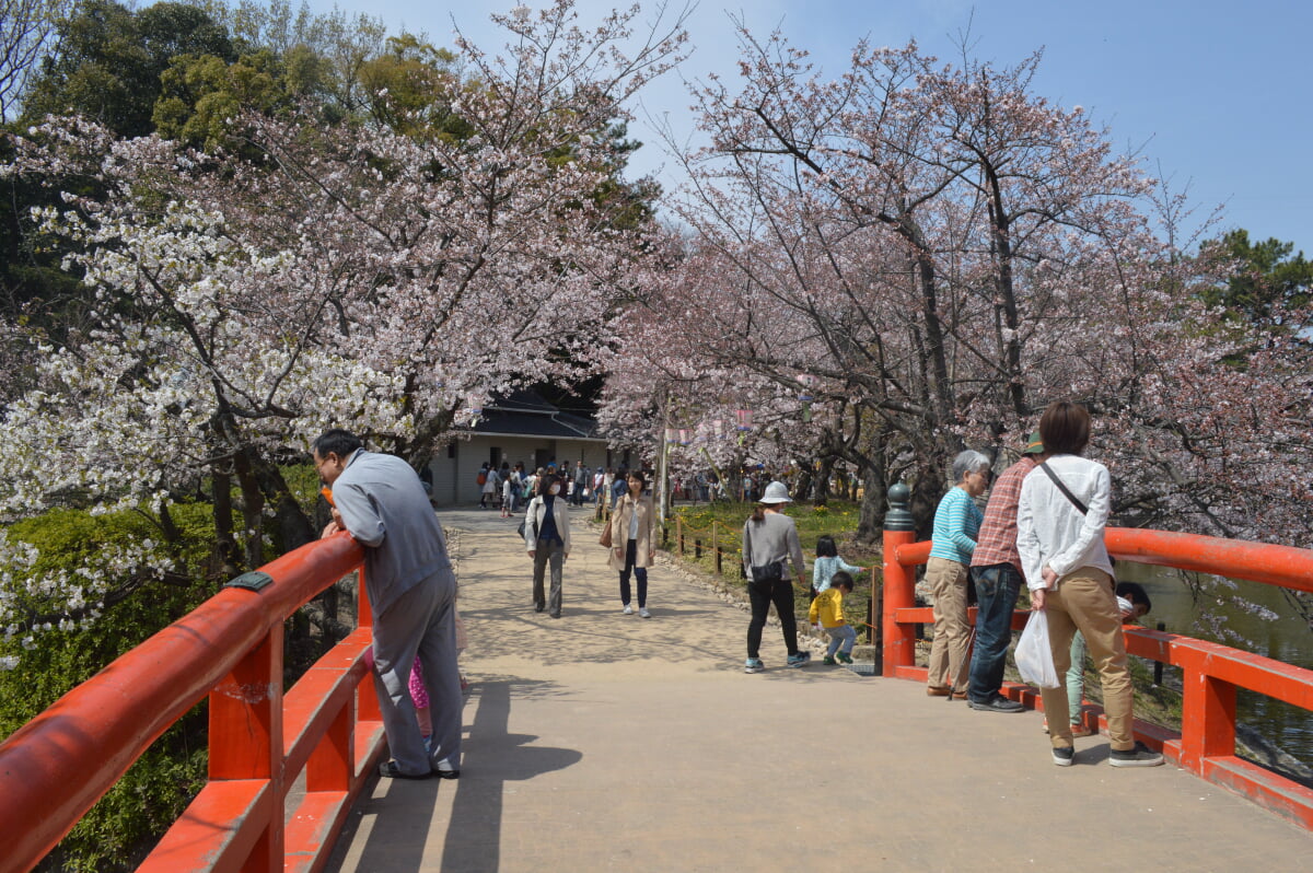 亀城公園の写真11