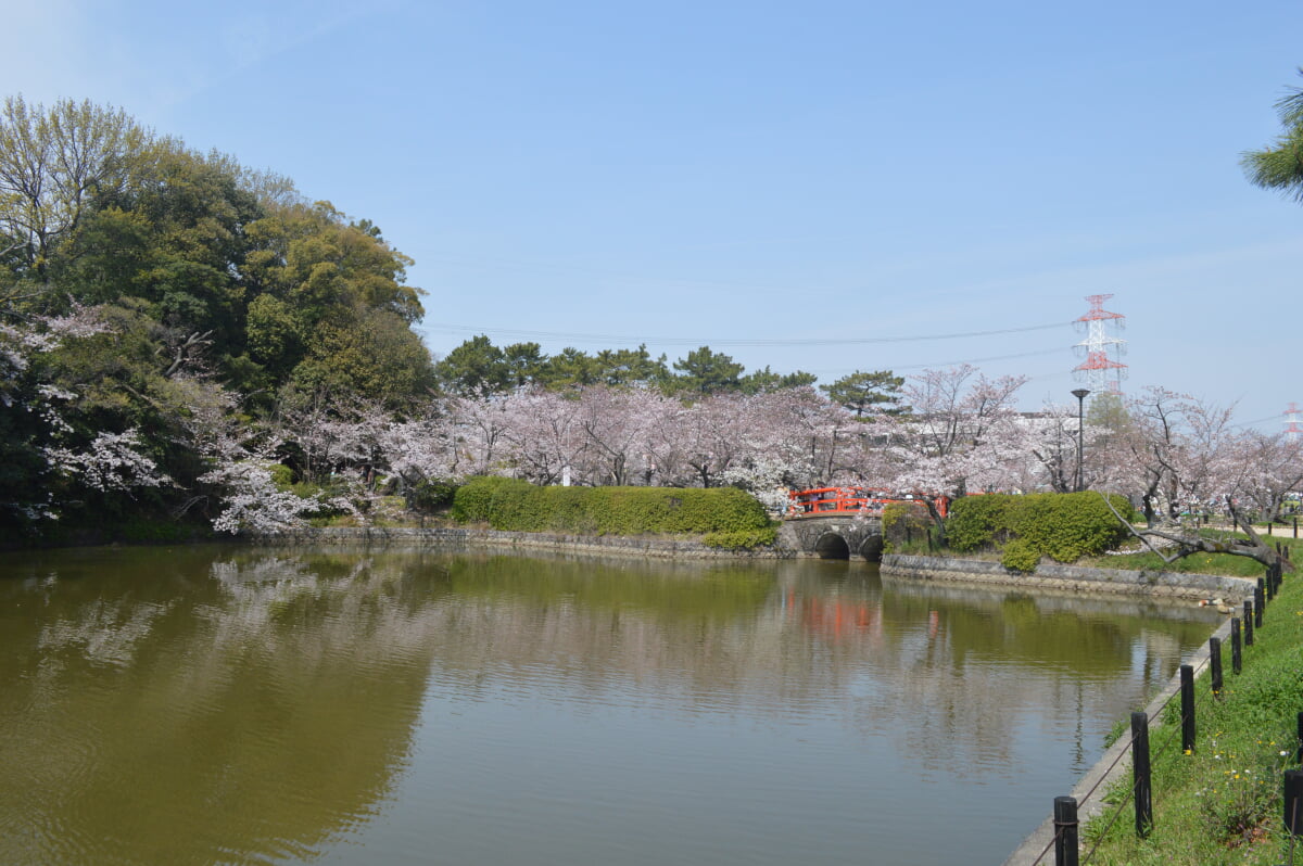 亀城公園の写真12