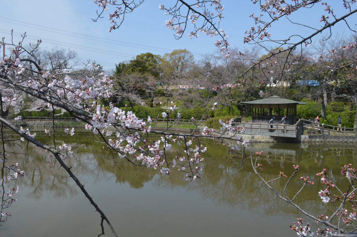 亀城公園の写真16