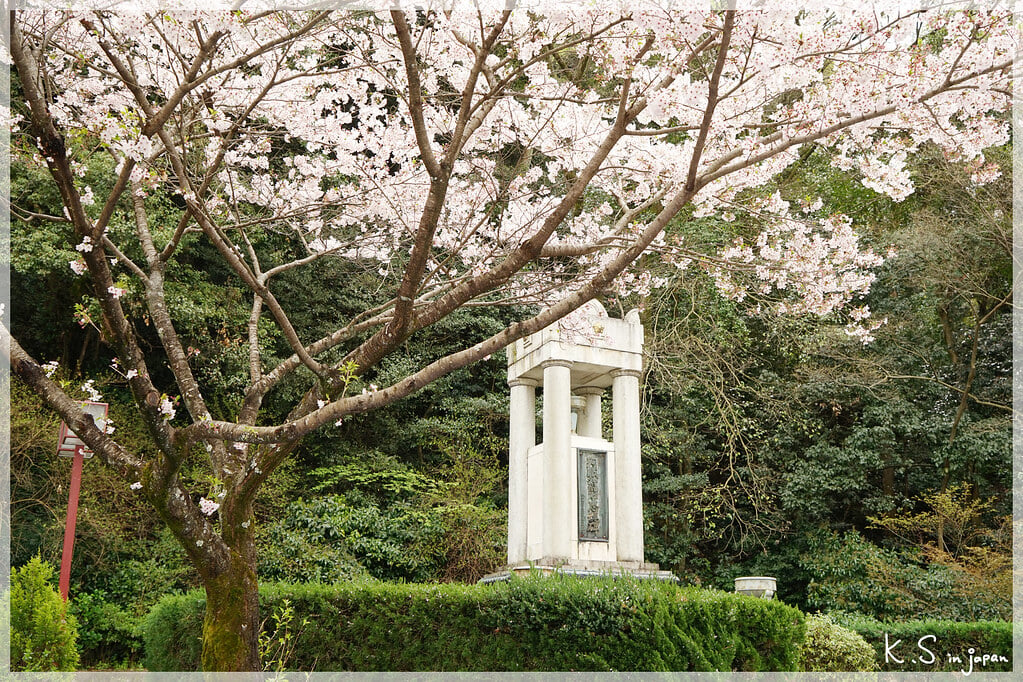 岐阜城の写真10