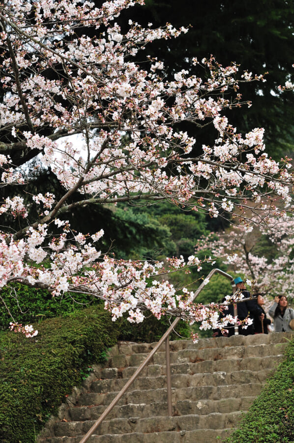 発心公園の写真4