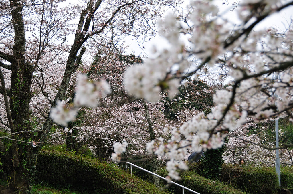 発心公園の写真5