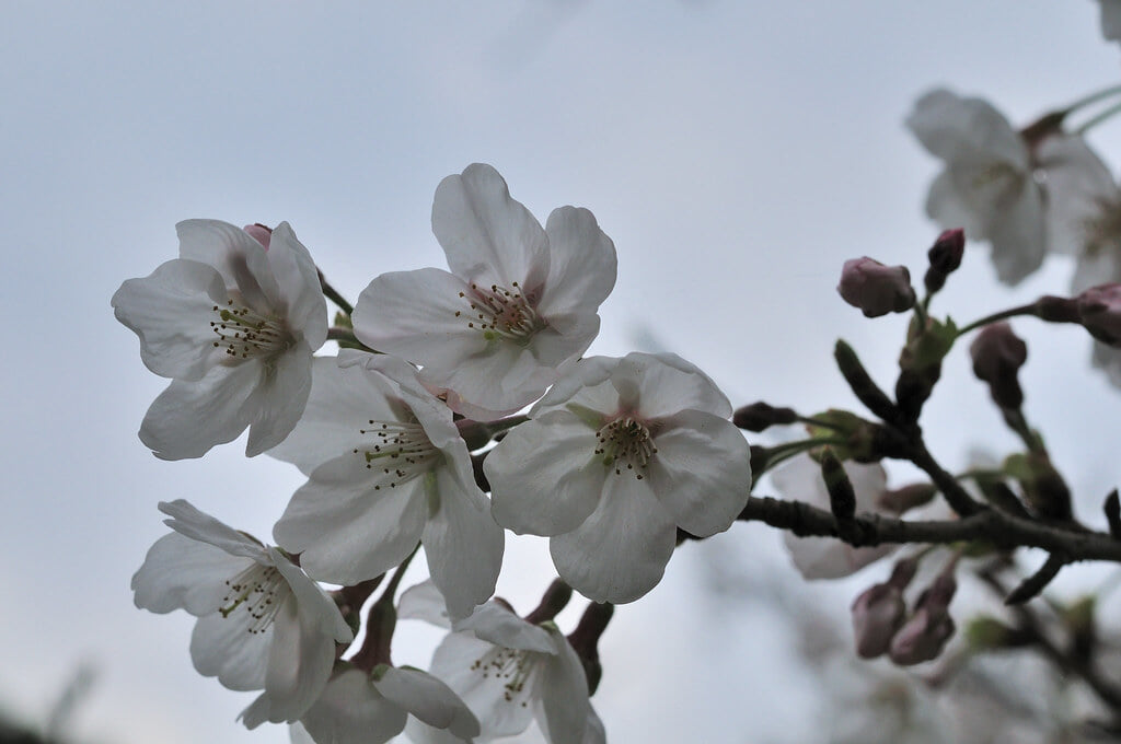 発心公園の写真6