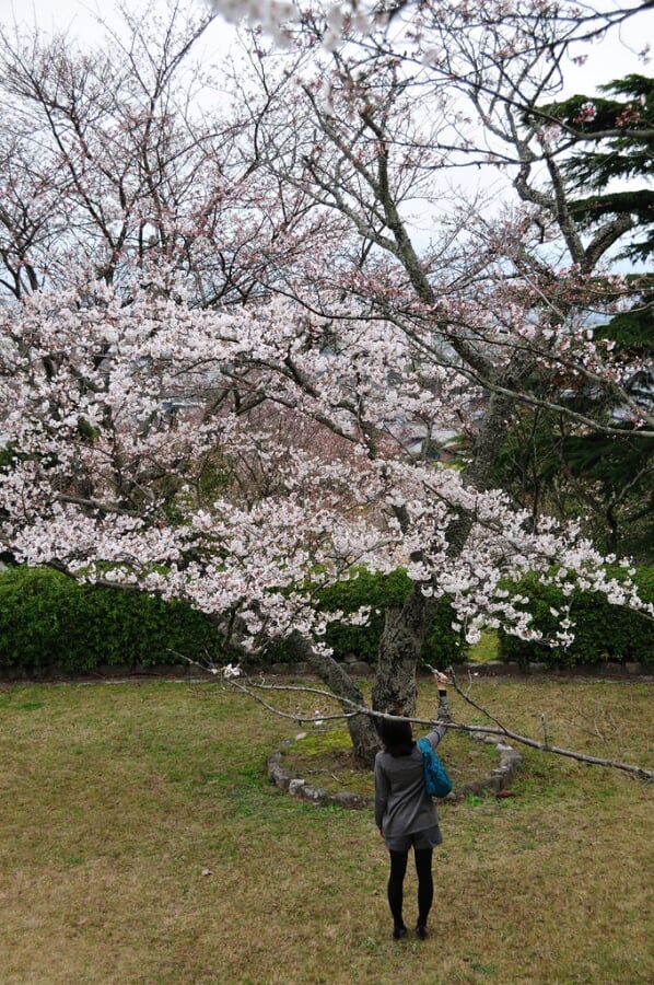 発心公園の写真7