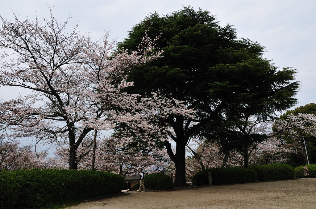 発心公園の写真12