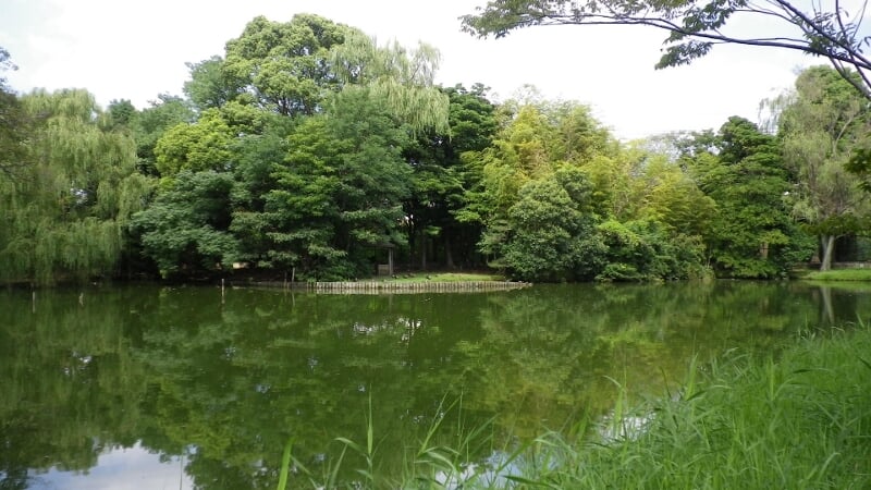 菊田水鳥公園の写真1