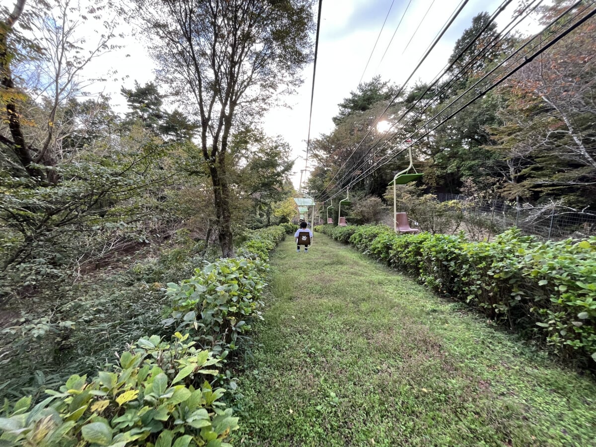 妙見の森リフトの写真7