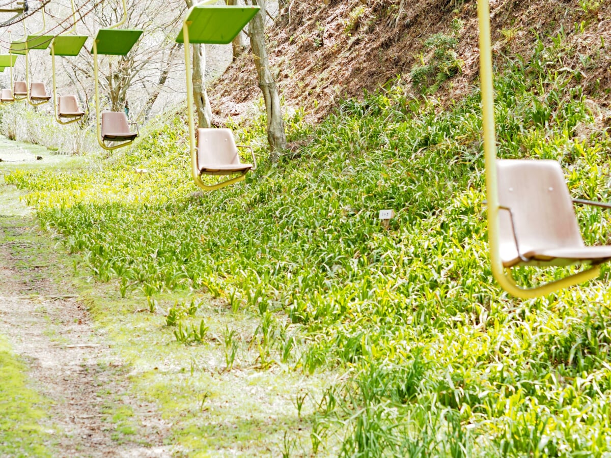 妙見の森リフトの写真1