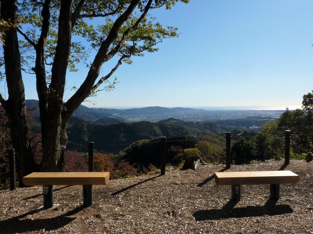 山北つぶらの公園の写真3