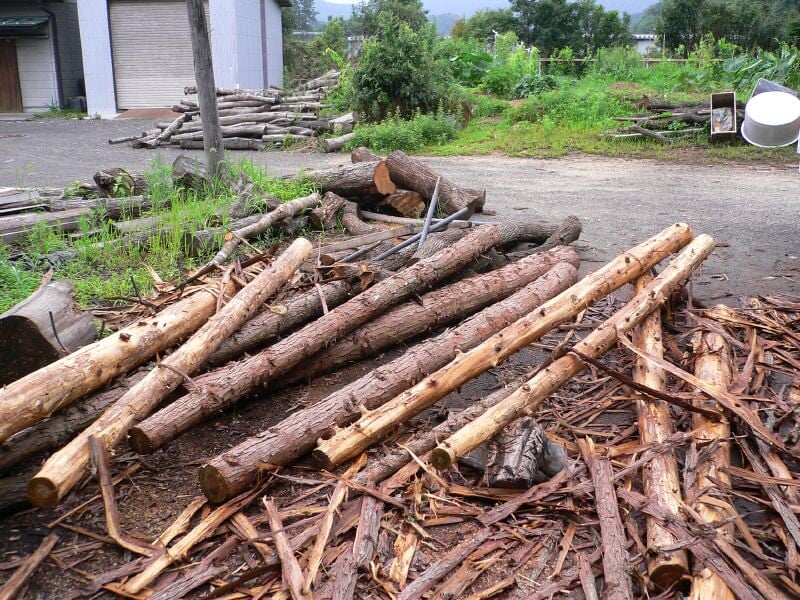 道の駅 紀州備長炭記念公園・紀州備長炭発見館の写真3