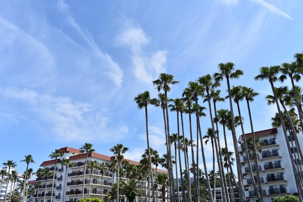 リビエラ逗子マリーナの写真2