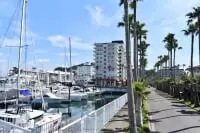 リビエラ逗子マリーナ