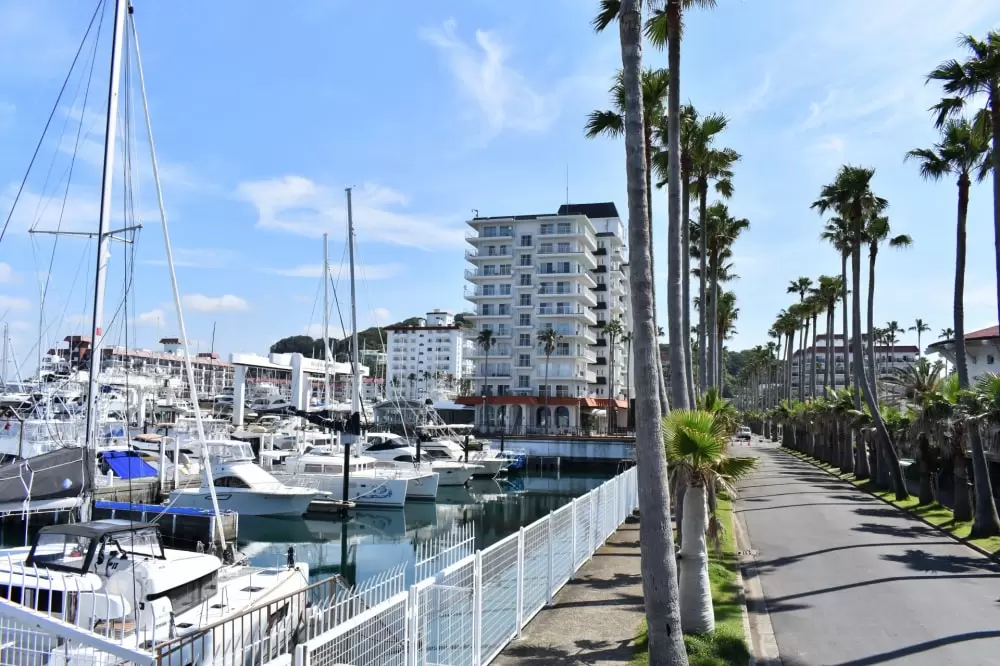 リビエラ逗子マリーナの写真1