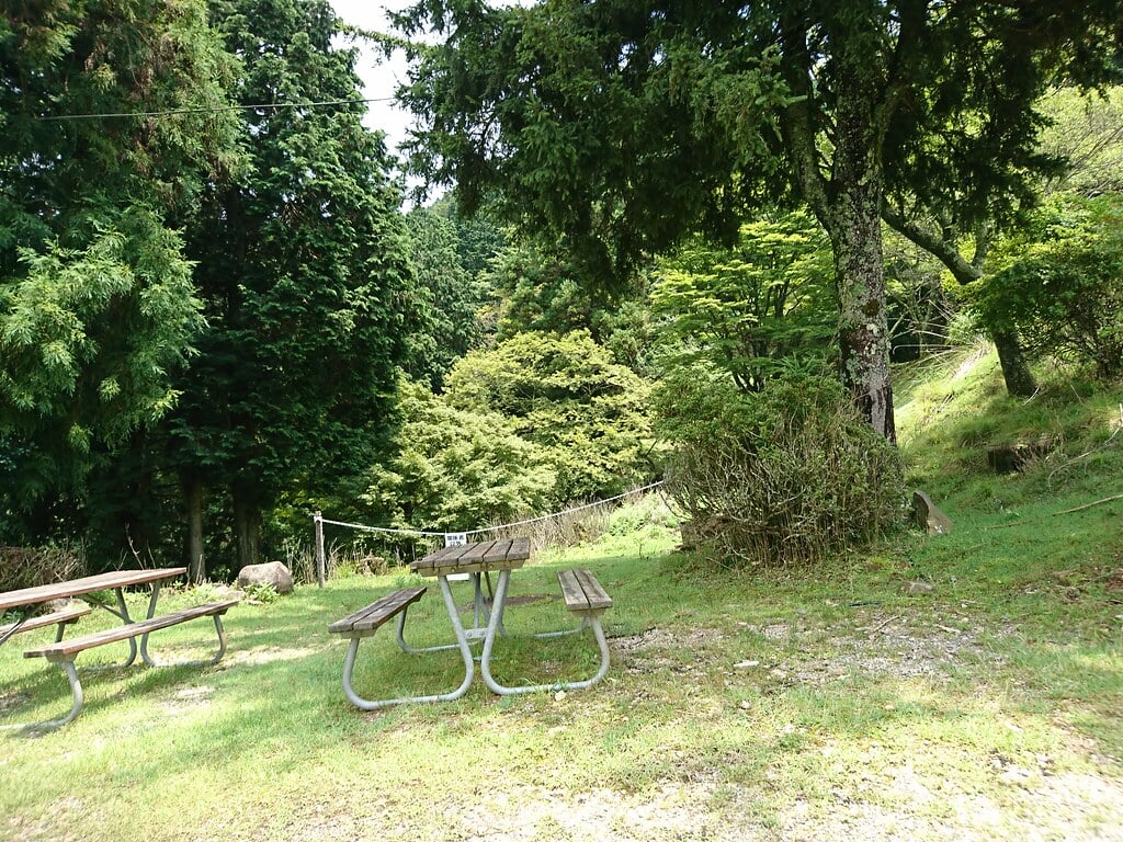 叡山ケーブル・ロープウェイの写真12