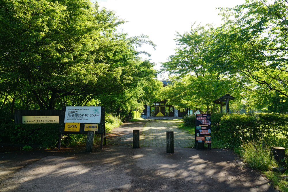 山梨県立八ヶ岳自然ふれあいセンターの写真1