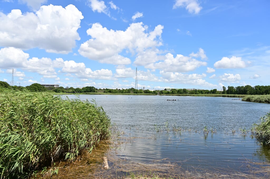 愛知県弥富野鳥園の写真2