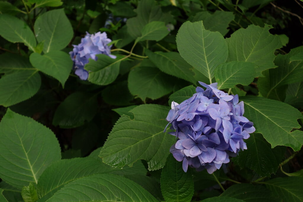 多摩森林科学園の写真10