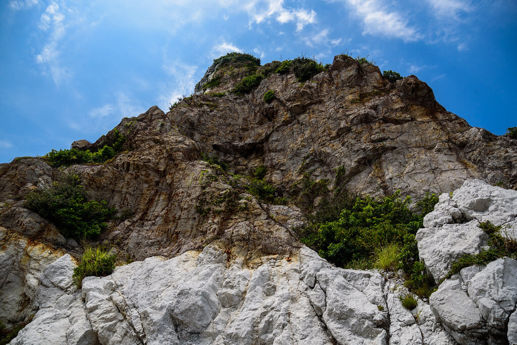 道の駅 白崎海洋公園の写真4