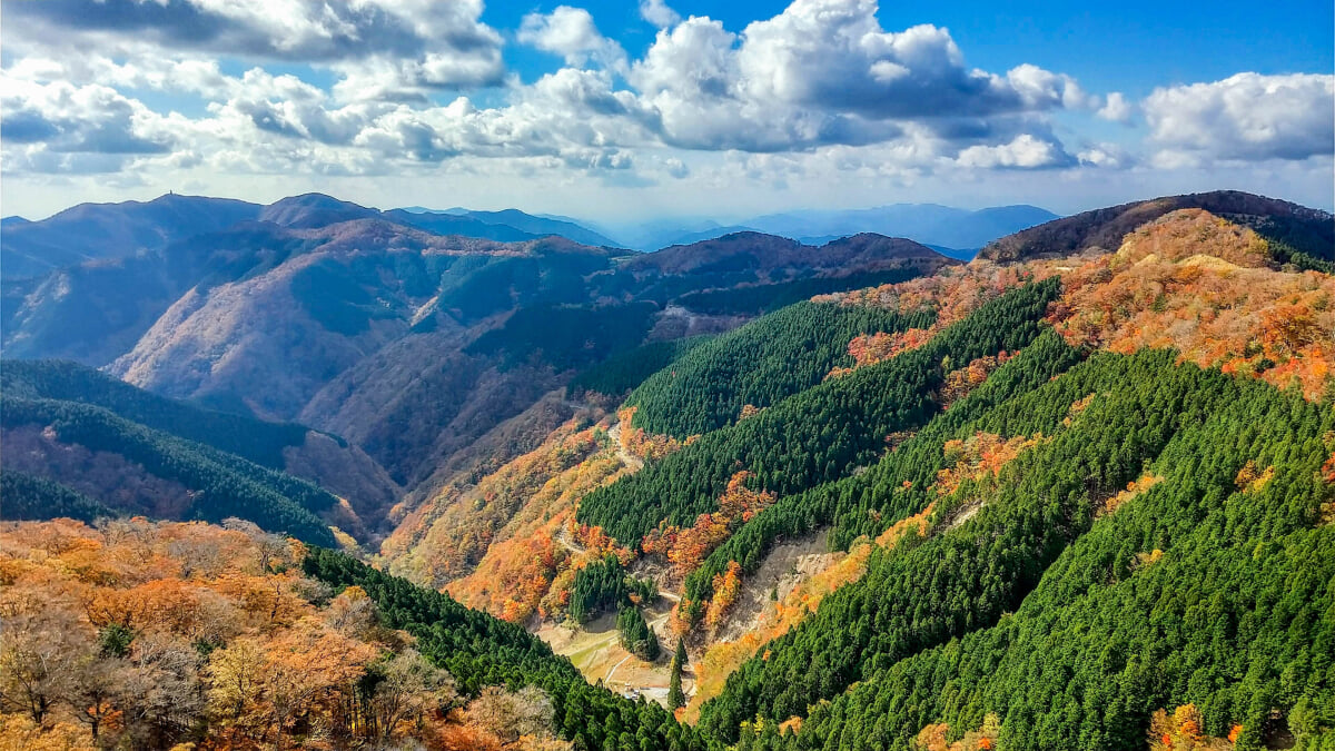 道の駅 田辺市龍神ごまさんスカイタワーの写真2