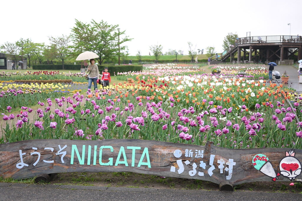 道の駅 新潟ふるさと村の写真1