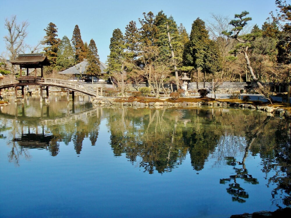 道保川公園の写真1