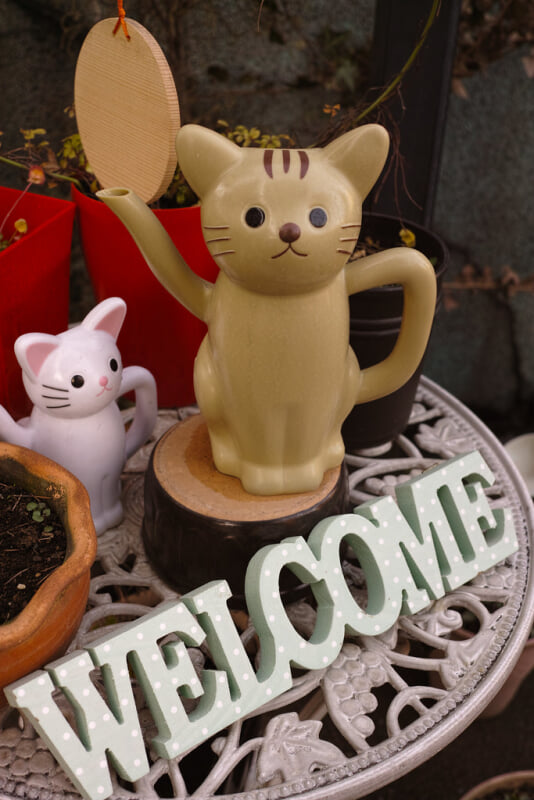 今戸神社の写真12