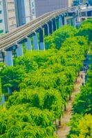 立川市サンサンロード