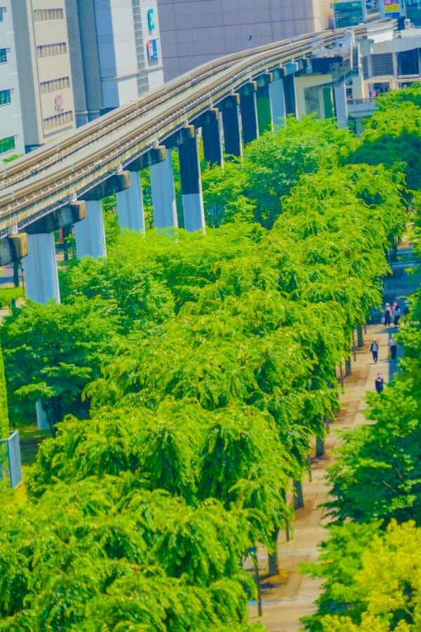 立川市サンサンロードの写真1