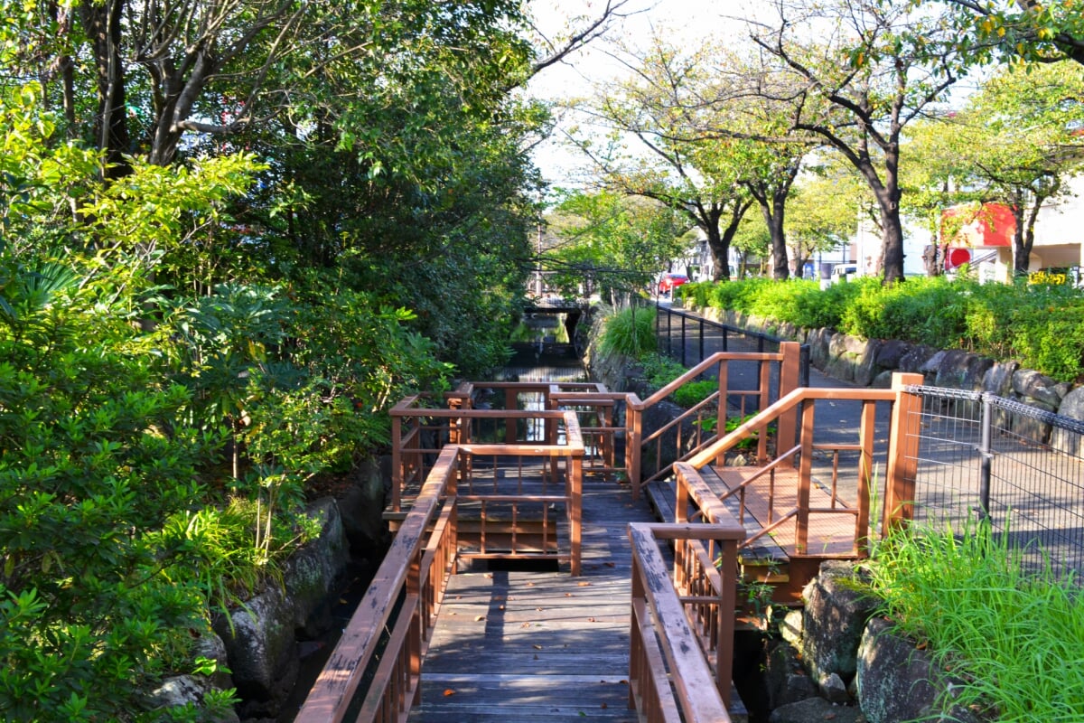 葛西用水親水水路の写真1
