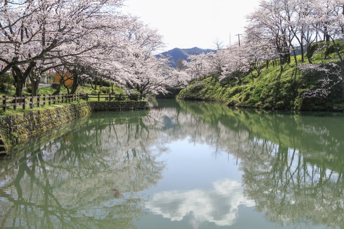 鹿野城跡公園の写真2