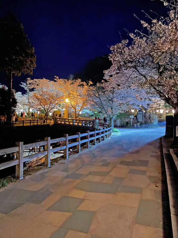 鹿野城跡公園の写真4