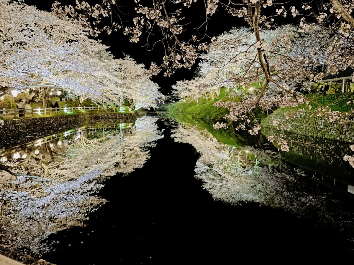 鹿野城跡公園の写真5