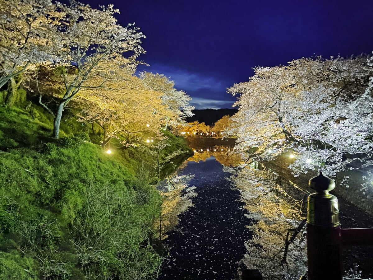 鹿野城跡公園の写真9