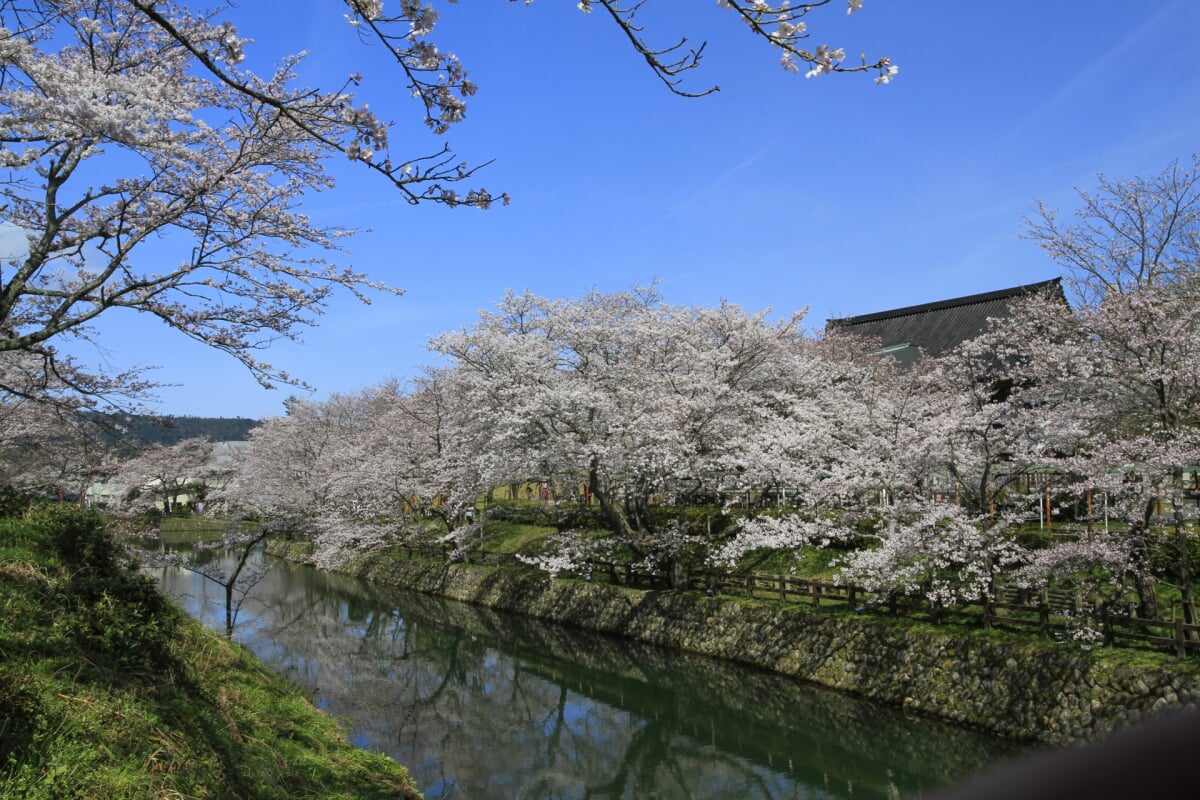 鹿野城跡公園の写真10